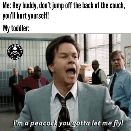 An accurate description of Sunday afternoons...