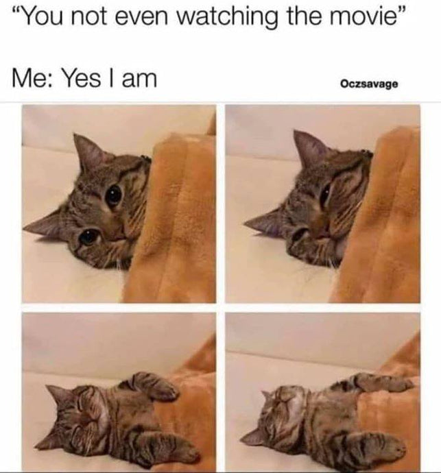 Pretty little liar...