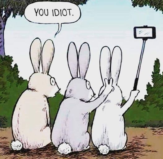 A funny bunny!