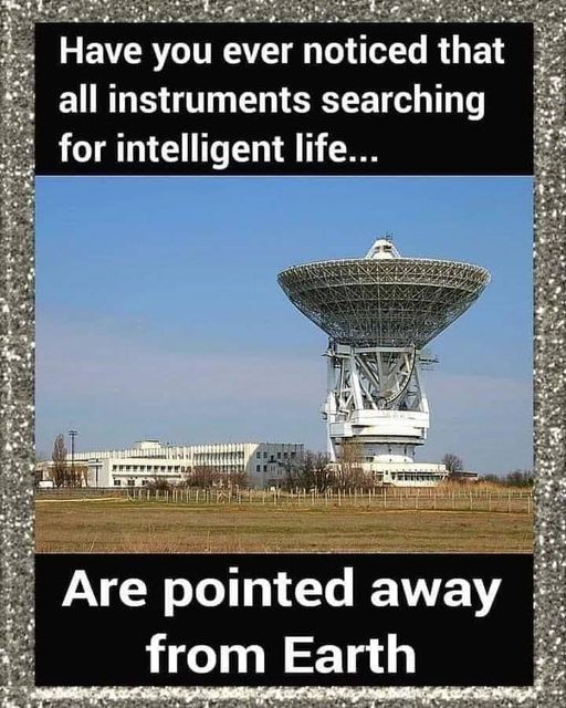 Any intelligent life here?