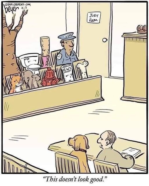 Dog gone funny. Or not...