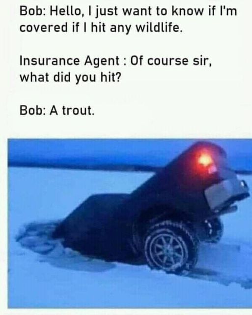 Interesting way to fish...