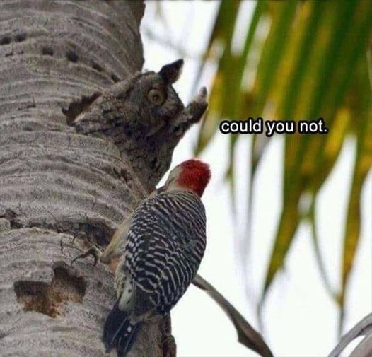 It's about to get real...