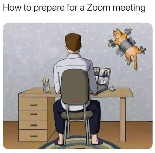 Ready to Zoom...
