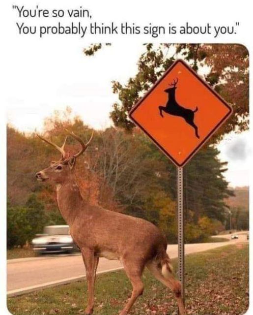 This sign is not about you, okay!