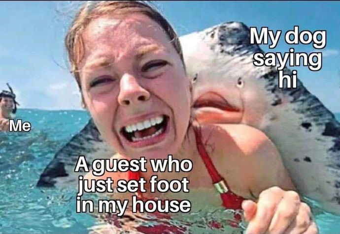 Well that's awkward!